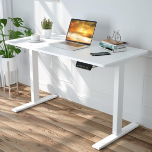 Modern  Standing Electric Desk